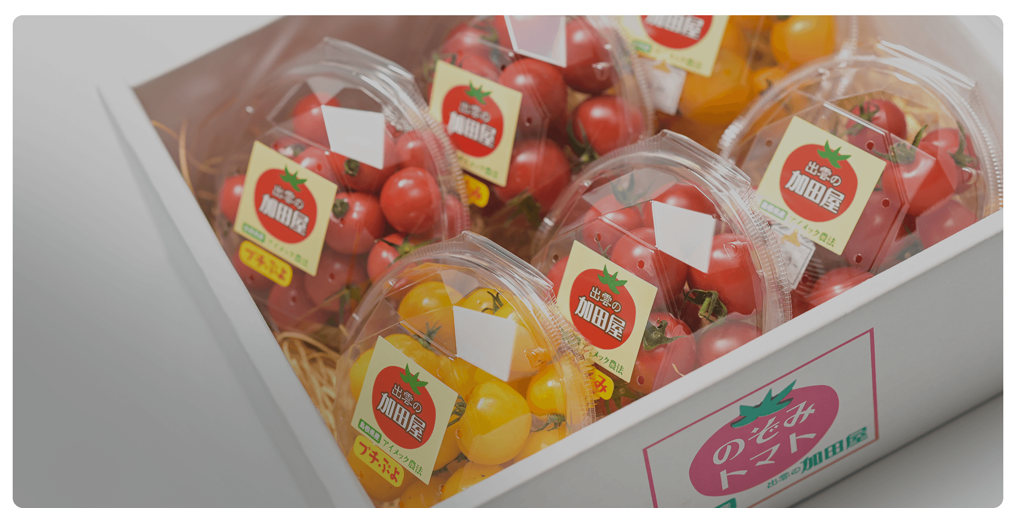 トマトが苦手な方でもきっと「すき」になる糖度８度以上のブランド『希トマト』ひと粒ひと粒に想いを込めて・・・