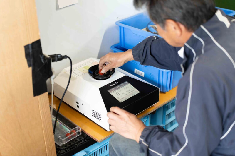 ひと粒ひと粒丁寧な糖度測定